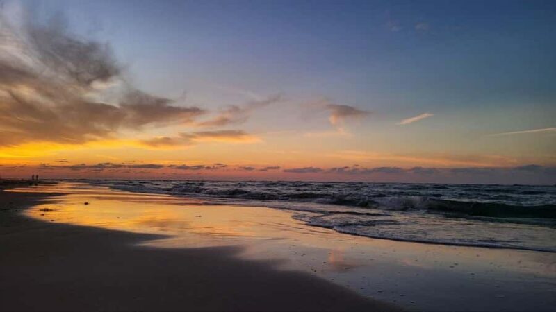 Kota Kinabalu: Mengkabong Fireflies River Cruise - An In-Depth Look at the Mengkabong Fireflies River Cruise