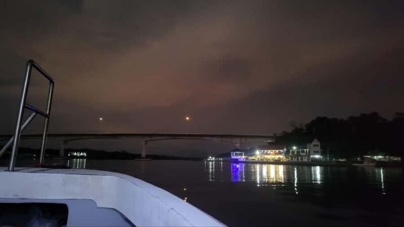Kota Kinabalu: Mengkabong Fireflies River Cruise - Authenticity and Value