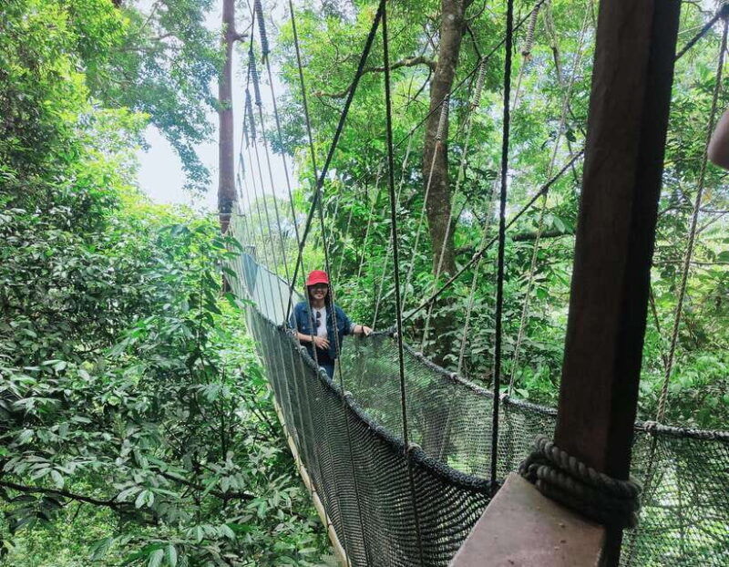 kota-kinabalu-poring-hot-spring-and-kinabalu-park-day-trip
