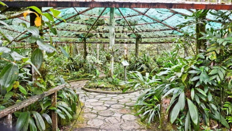 kota-kinabalu-private-kundasang-and-poring-hot-spring-tour