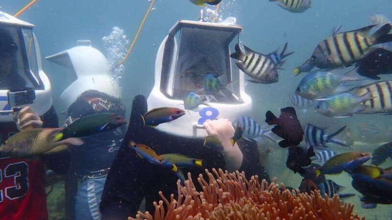 Kota Kinabalu: Snorkeling & Island Hopping Sapi & Manukan - FAQs