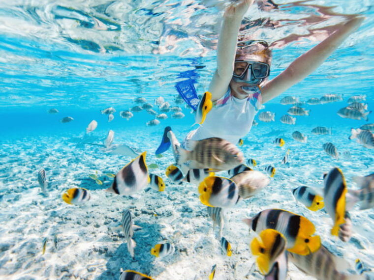 kota-kinabalu-snorkeling-sapi-island-manukan-island