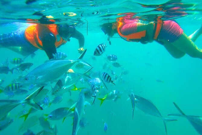 Kota Kinabalu Snorkeling Tour at Manukan and Sapi Island - Key Points