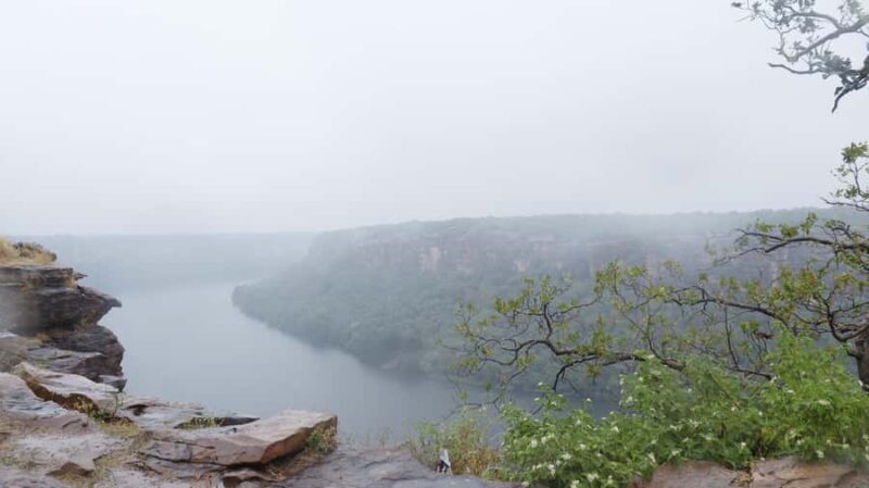 Kota: The Royal Retreat & Ekatra Workshop - A Taste of Rajasthan: The Traditional Thali