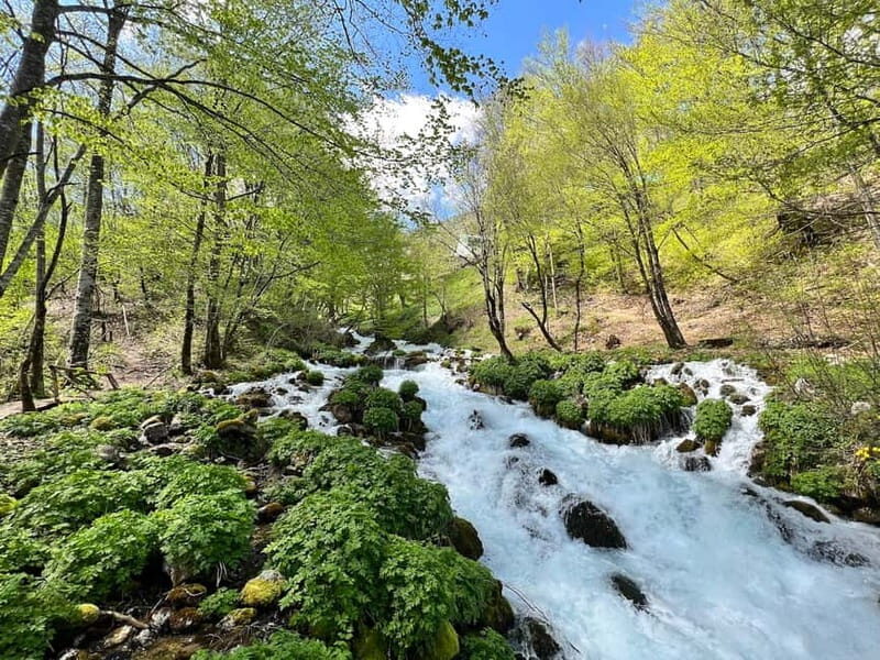 Kotor: Durmitor, Black Lake & Djurdjevica Tara Bridge Tour - Who Is This Tour Best For?