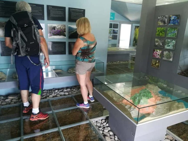 Kotor: Skadar Lake National Park with Wine Tasting - An In-Depth Look at the Tour Experience