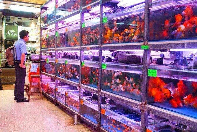 Kowloon Tour + Fun Tasting (2024) | 100+ booked - The Sum Up