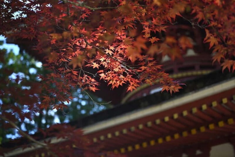 Koyasan: A Mysterious Meditation Journey - The Sum Up