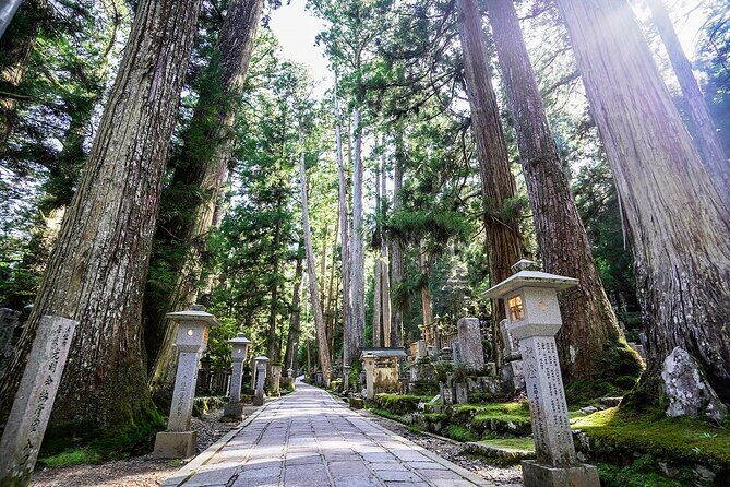 Koyasan Day Trip by Private Car from Osaka - Exploring the Itinerary in Detail