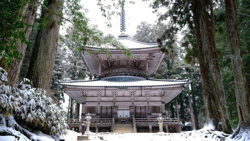 Koyasan Hidden Gems Day Trip From Osaka - The Practicalities: What to Know
