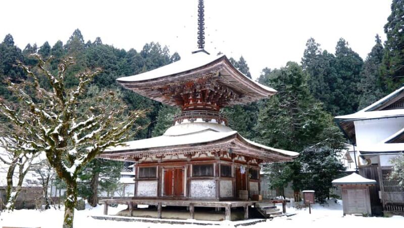 Koyasan Hidden Gems Day Trip From Osaka - The Sum Up: Who Will Love This Tour?