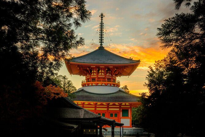 Koyasan Private Day Trip from Osaka or Kyoto with English Driver - A Deep Dive into the Koyasan Private Day Trip