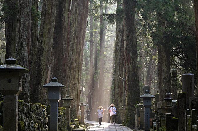 Koyasan Private Day Trip from Osaka or Kyoto with English Driver - Who Should Consider This Tour?