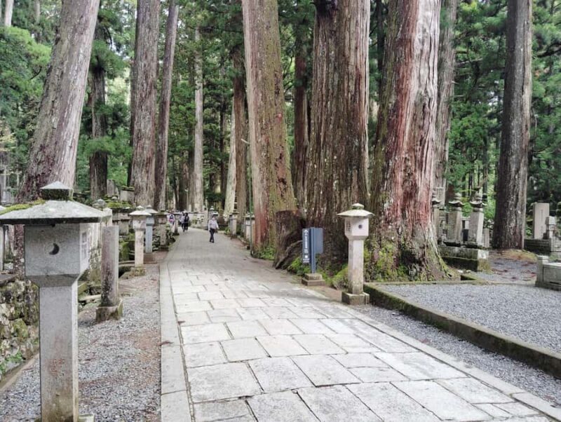 Koyasan: Sacred Silence of Okunoin at Dawn and After Dark - The Sum Up