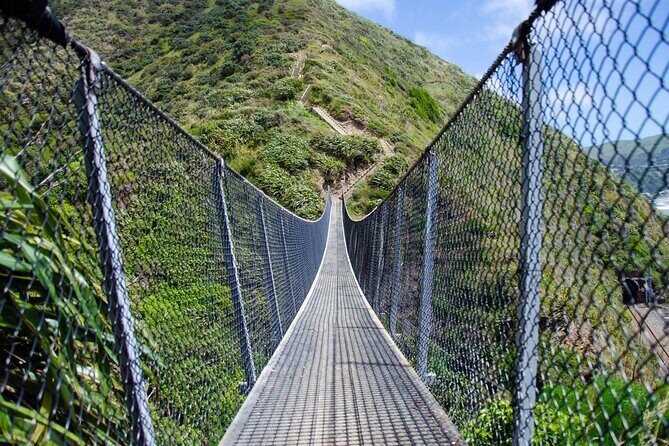 Kpiti Coast: Escarpment Track Guided Hiking Tour, Coffee + Lunch - The Journey Begins: From Wellington to the Coast