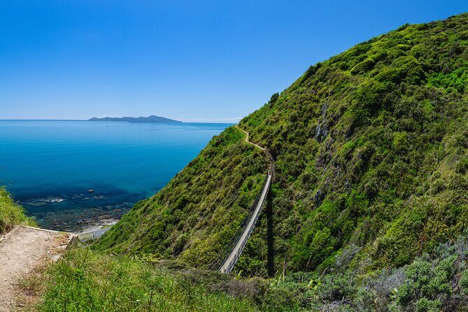 Kpiti Coast: Escarpment Track Guided Hiking Tour, Coffee + Lunch - The Best of the Trail: Highlights and Photo Opportunities