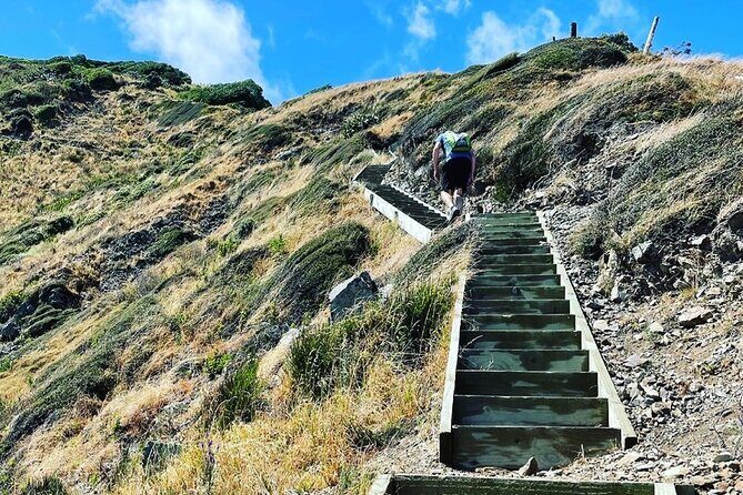 Kpiti Coast: Escarpment Track Guided Hiking Tour, Coffee + Lunch - Mid-Morning Rest and Local Flavour