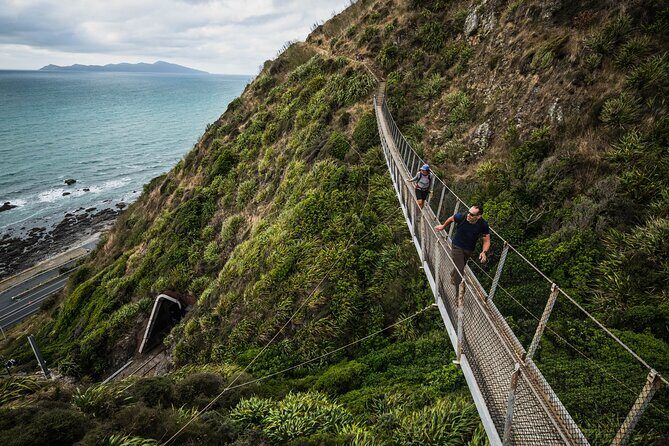 Kpiti Coast: Escarpment Track Guided Hiking Tour, Coffee + Lunch - Return to Wellington: Scenic Train Ride and Reflection