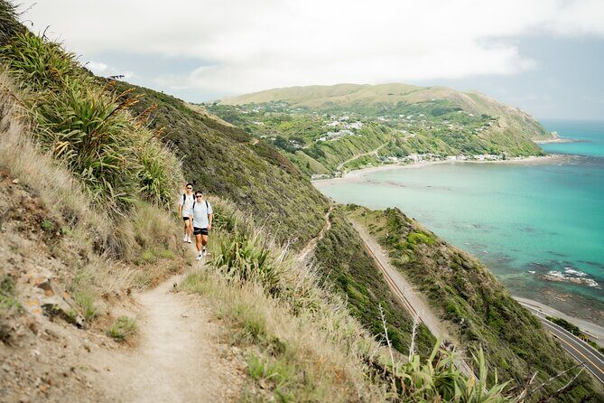 Kpiti Coast: Escarpment Track Guided Hiking Tour, Coffee + Lunch - The Value of This Tour