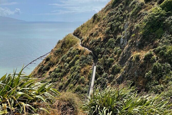 Kpiti Coast: Escarpment Track Guided Hiking Tour, Coffee + Lunch - What the Reviews Say
