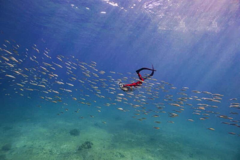 Krabi: 4-Island Freediving Day Tour with Lunch & Photos - Key Points