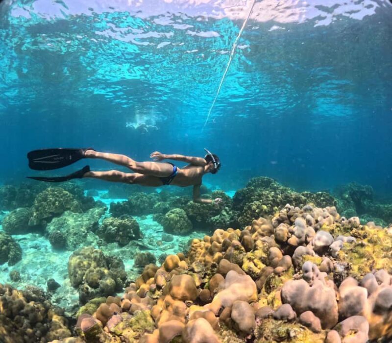 Krabi: 4-Island Freediving Day Tour with Lunch & Photos - An In-Depth Look at the Tour Experience