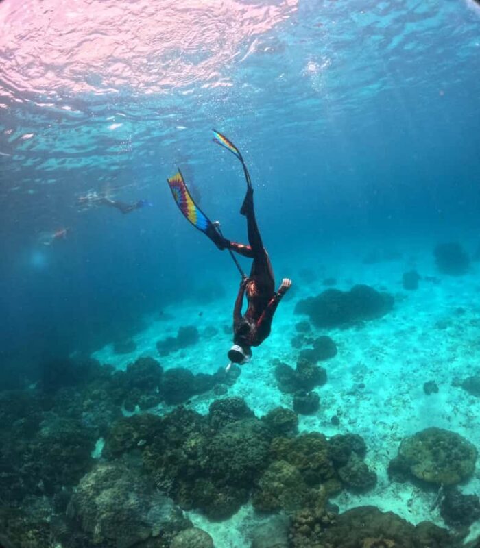 Krabi: 4-Island Freediving Day Tour with Lunch & Photos - Who Will Love This Tour?