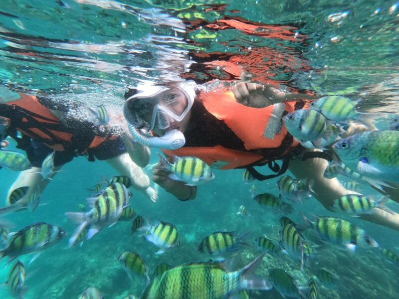 krabi-4-island-one-day-tour-by-speed-boat-or-longtail-boat