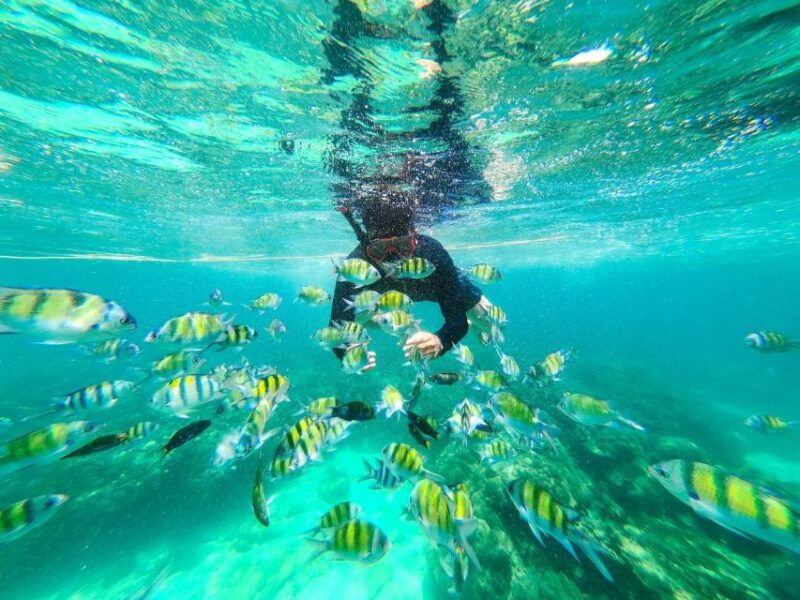 krabi-4-islands-private-full-day-tour-by-longtail-boat