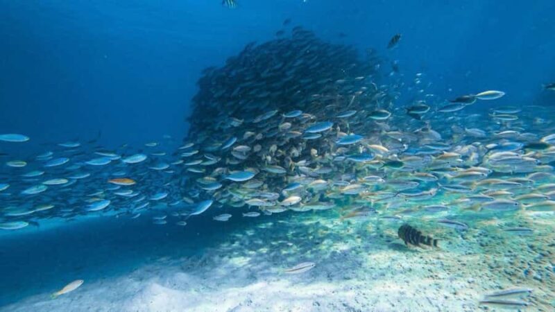 Krabi: 4 Islands Private Trip by Speedboat - Who Would Love This Tour?