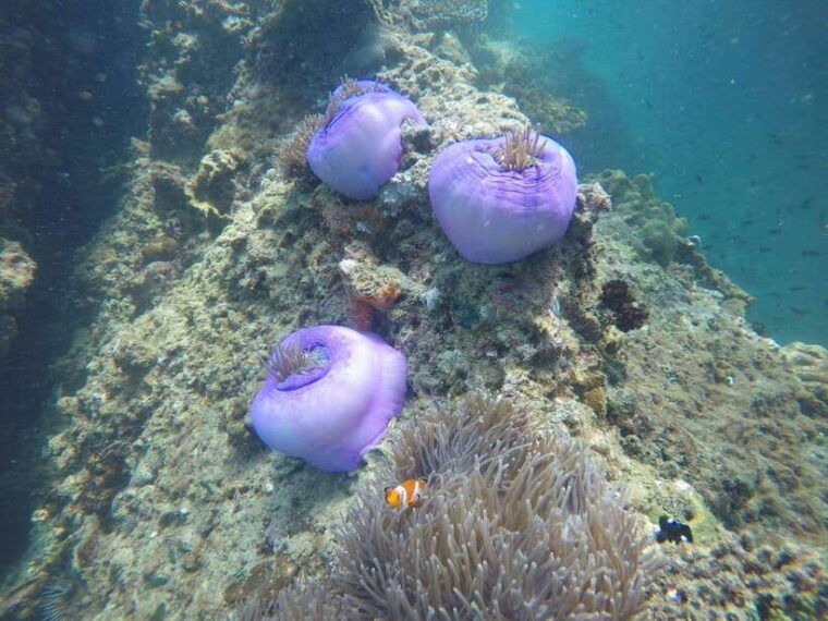 krabi-7-islands-sunset-tour-with-buffet-dinner-snorkeling