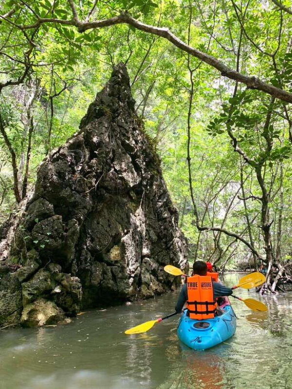 krabi-a-kayaking-odyssey-through-din-daeng-mangrove-maze