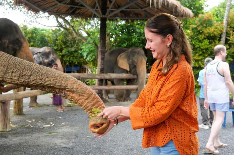 Krabi: Ao Nang Elephant Sanctuary Tour - Key Points