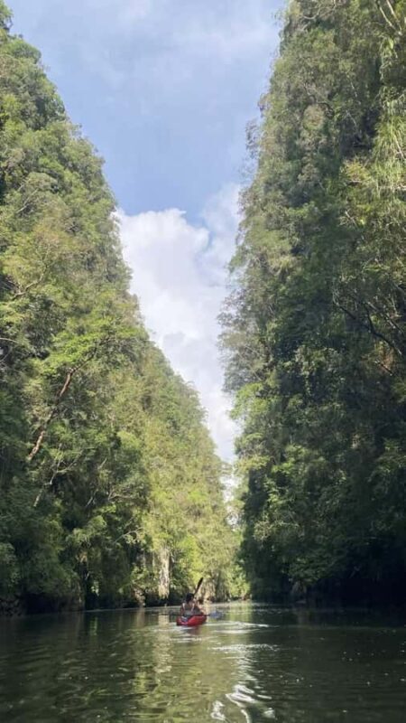 Krabi: Ao Thalane Mangrove Kayaking Tour with Pickup - Final Thoughts: Is It Worth It?