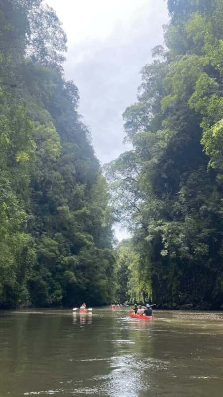 Krabi: Ao Thalane Mangrove Kayaking Tour with Pickup - FAQ