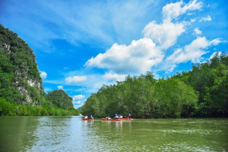 Krabi: Ao Thalane Mangrove Kayaking with Extras - The Guided Tour & Safety Briefing