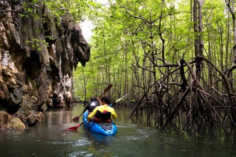 Krabi: Ao Thalane Sunset Kayaking & BBQ Dinner - Key Points