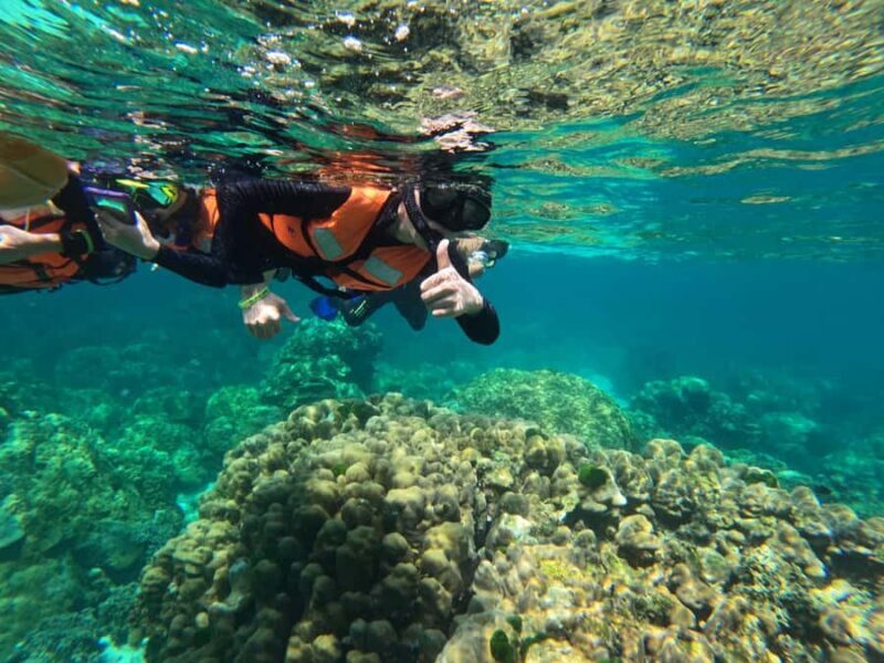 Krabi Aonang: Koh Rok & Koh Haa Snorkelling Day Trip + Lunch - An In-Depth Look at the Tour Experience
