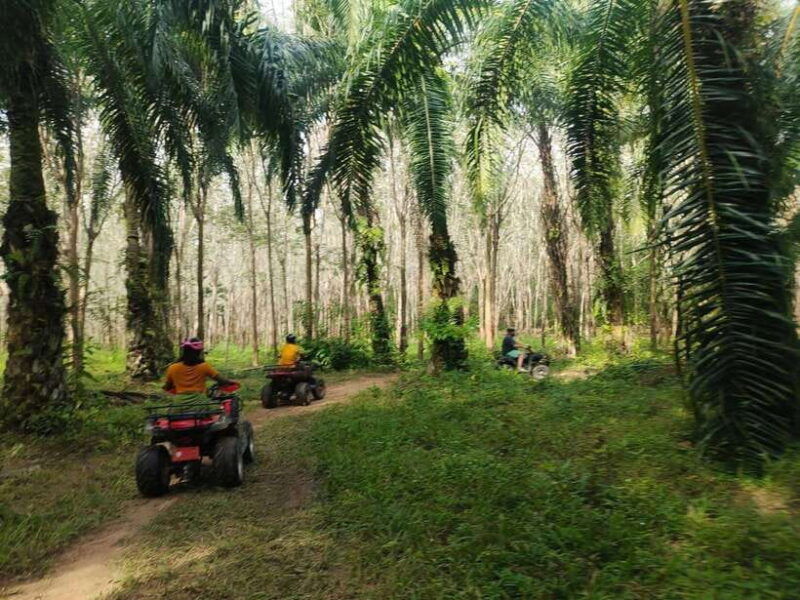 krabi-atv-jungle-adventure-with-round-trip-transfer