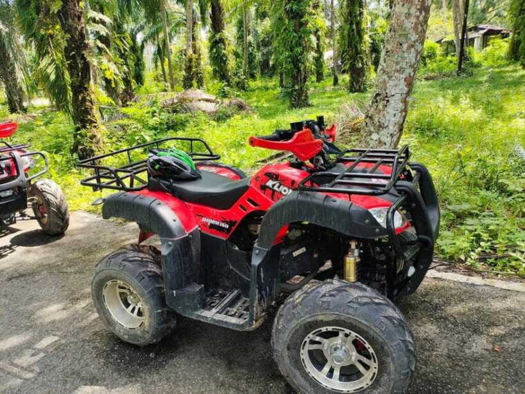 krabi-atv-jungle-adventure-with-round-trip-transfer