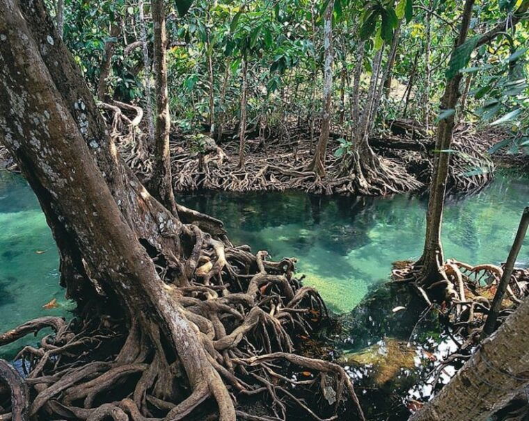 krabi-best-mountains-and-beaches-private-sunrise-tour