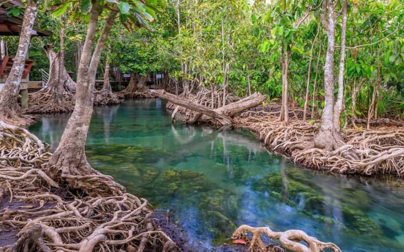 Krabi: Customizable Private Day Tour with Driver - Exploring Krabi at Your Own Pace