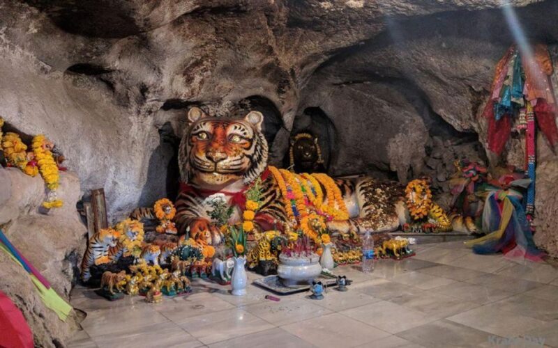 Krabi: Customizable Private Day Tour with Driver - The Sum Up: Is This Tour Right for You?