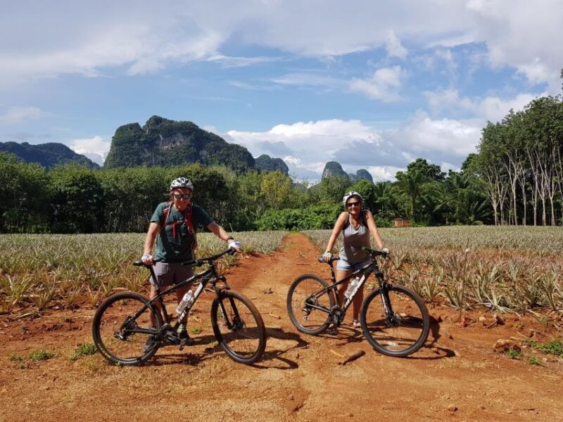 krabi-cycling-tour-to-krabi