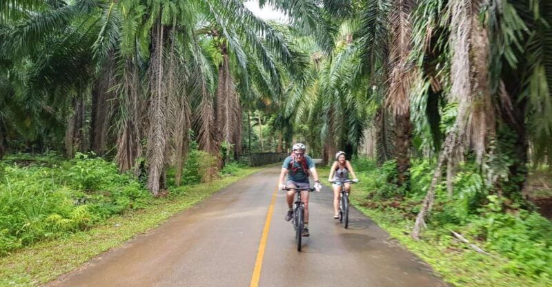 krabi-cycling-tour-to-krabi