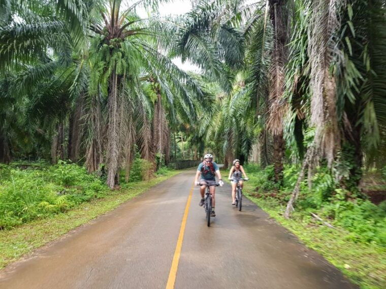 krabi-cycling-tour-to-krabi