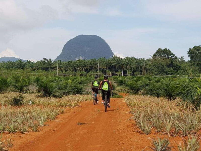krabi-eco-cycling-tour-with-nature-culture-and-fun