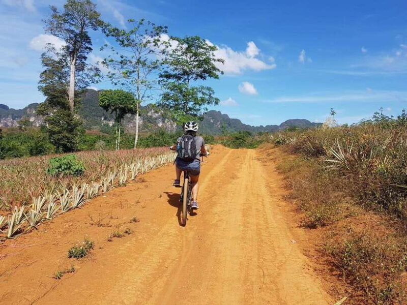 krabi-eco-cycling-tour-with-nature-culture-and-fun
