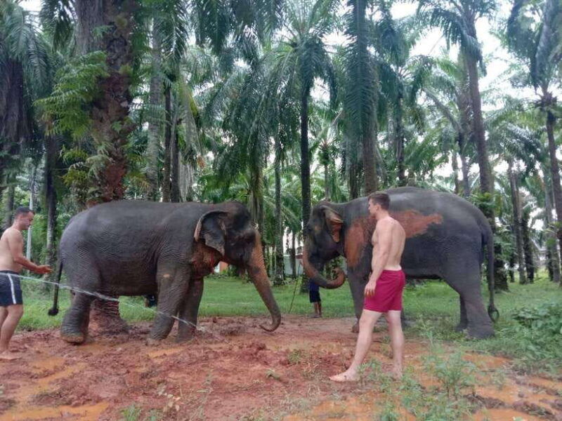 krabi-elephant-bathing-and-atv-adventure-30min-30min