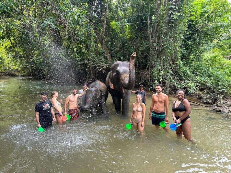 krabi-elephant-bathing-and-atv-adventure-30min-30min